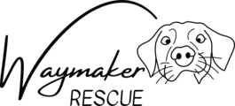 Waymaker Rescue