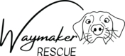 Waymaker Rescue