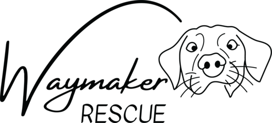 Waymaker Rescue