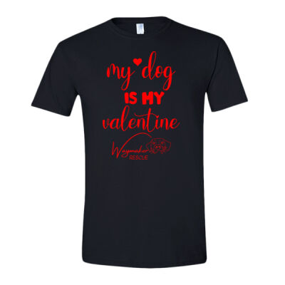64000 - G640 - Gildan Softstyle T-Shirt Valentine Thumbnail