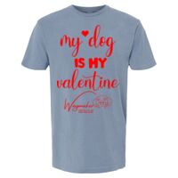 6500M - Best Value Ringspun Garment-Dyed T-Shirt Thumbnail