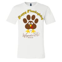 3001 - Bella Canvas Premium Ring Spun Cotton T-shirts Thumbnail