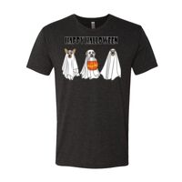 6010 - Next Level Unisex Tri-blend Short Sleeve T-shirt Thumbnail